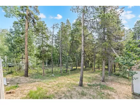 216 Nero Rd, Black Hawk, CO 80422 photo 20