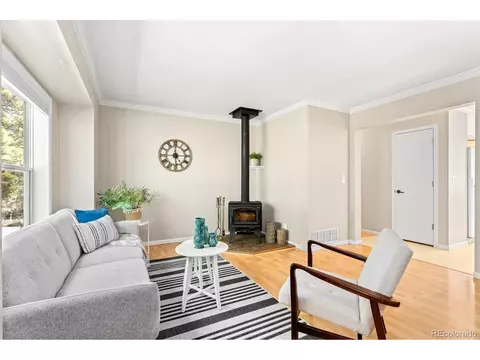 216 Nero Rd, Black Hawk, CO 80422 photo 5