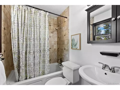 1225 Clark Rd, Bailey, CO 80421 photo 12