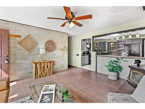 1225 Clark Rd, Bailey, CO 80421 photo 6