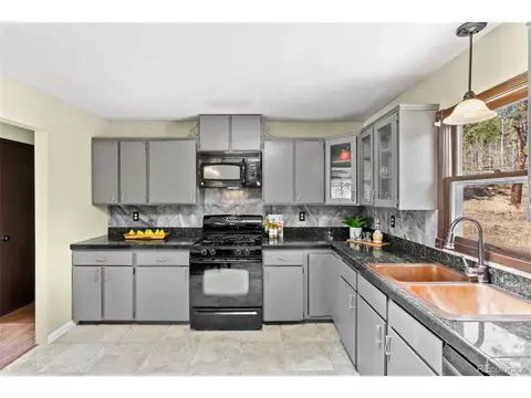 1225 Clark Rd, Bailey, CO 80421 photo 9