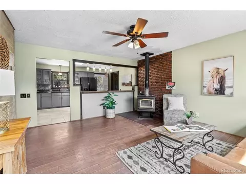 1225 Clark Rd, Bailey, CO 80421 photo 4