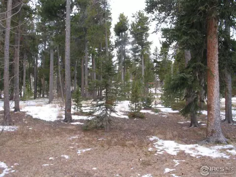 234 Long Trail Rd, Black Hawk, CO 80422 photo 14