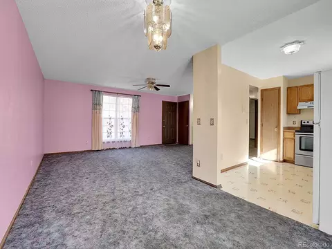 4386 E 93rd Pl, Thornton, CO 80229 photo 8