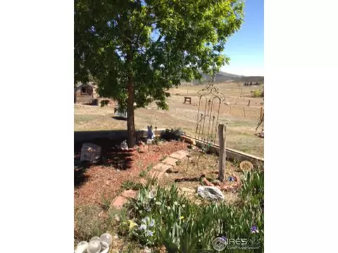 58 Wedge Rock Dr, Lyons, CO 80540 photo 18