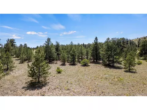 424 Mesa Rd, Hartsel, CO 80449