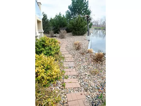 537 Whitney Bay, Windsor, CO 80550 photo 25