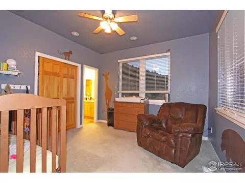 59 Longmont Dam Rd, Lyons, CO 80540 photo 3
