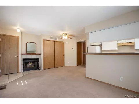 8701 Huron St #10-101, Thornton, CO 80260 photo 6