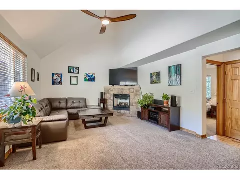 731 Hitchrack Rd, Bailey, CO 80421 photo 1