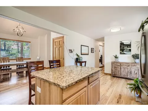 731 Hitchrack Rd, Bailey, CO 80421 photo 6