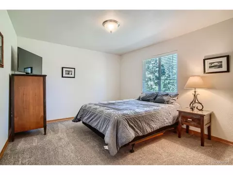 731 Hitchrack Rd, Bailey, CO 80421 photo 8