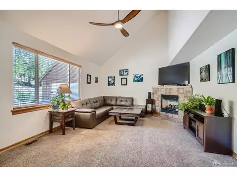 731 Hitchrack Rd, Bailey, CO 80421 photo 2