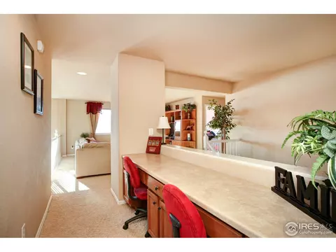 5679 Calgary St, Timnath, CO 80547 photo 12