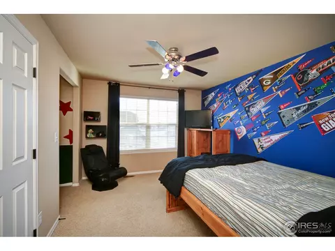 5679 Calgary St, Timnath, CO 80547 photo 18