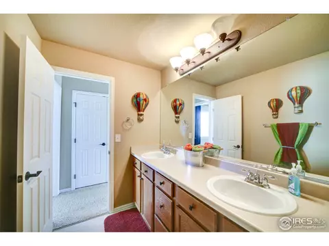 5679 Calgary St, Timnath, CO 80547 photo 17