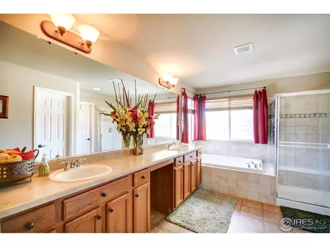 5679 Calgary St, Timnath, CO 80547 photo 15