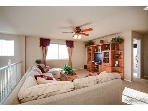 5679 Calgary St, Timnath, CO 80547 photo 10