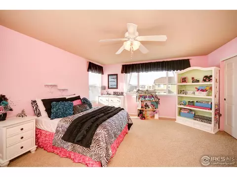5679 Calgary St, Timnath, CO 80547 photo 19