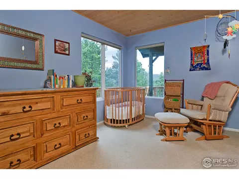 269 Upper Travis Gulch Rd, Black Hawk, CO 80422 photo 9