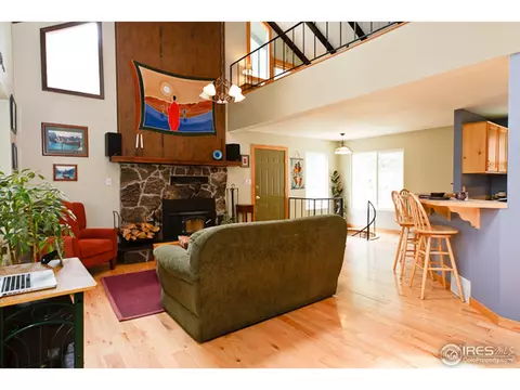 269 Upper Travis Gulch Rd, Black Hawk, CO 80422 photo 4