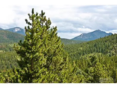 269 Upper Travis Gulch Rd, Black Hawk, CO 80422 photo 19