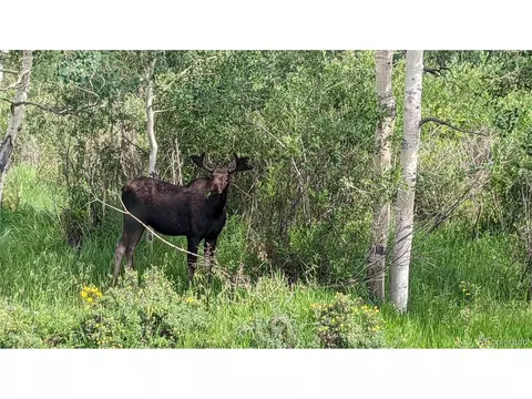 396 Stage Coach Dr, Bailey, CO 80421 photo 37