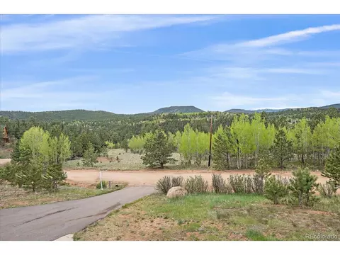 396 Stage Coach Dr, Bailey, CO 80421 photo 39