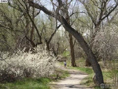 6189 Old Brompton Rd, Boulder, CO 80301 photo 20