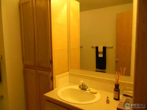 1125 Valley Dr, Windsor, CO 80550 photo 21