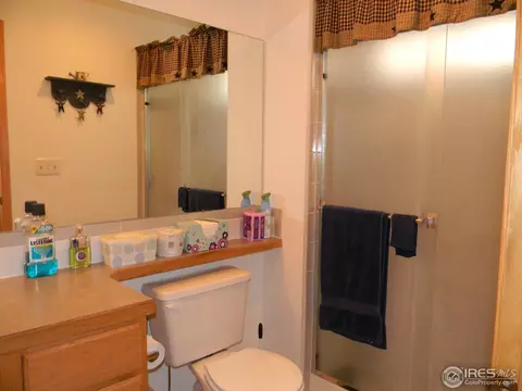 1125 Valley Dr, Windsor, CO 80550 photo 15