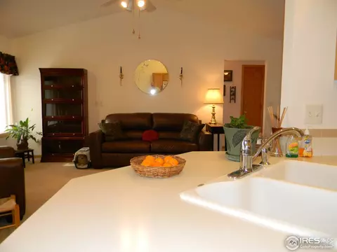 1125 Valley Dr, Windsor, CO 80550 photo 12