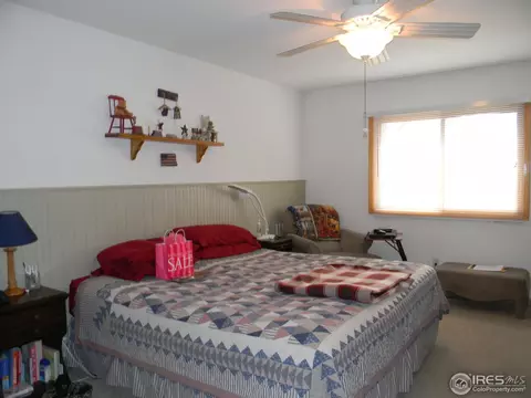 1125 Valley Dr, Windsor, CO 80550 photo 14