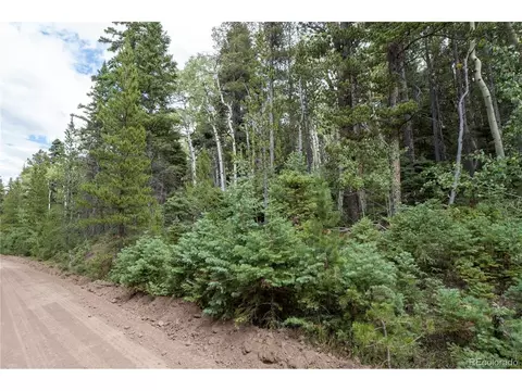2238 Buonaventura Ln, Fort Garland, CO 81133