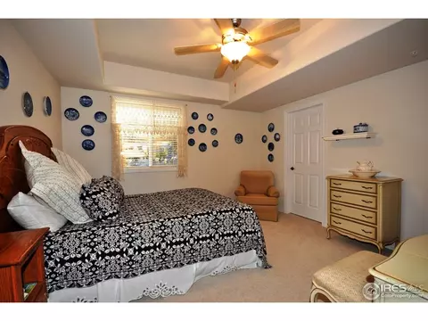 440 Crystal Cv, Windsor, CO 80550 photo 23
