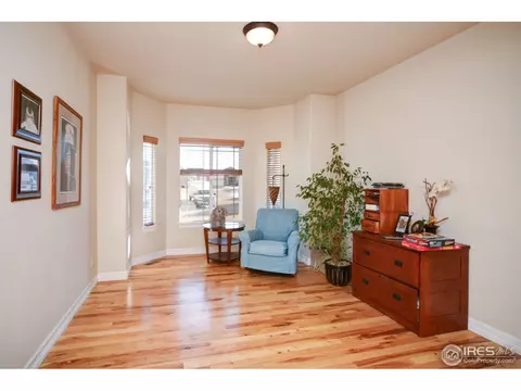 8485 Sand Dollar Dr, Windsor, CO 80528 photo 19
