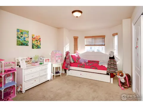 8485 Sand Dollar Dr, Windsor, CO 80528 photo 16