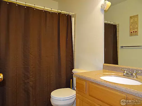 308 Slate Ct, Windsor, CO 80550 photo 20