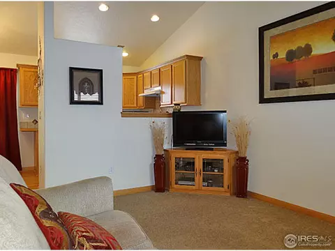 308 Slate Ct, Windsor, CO 80550 photo 7