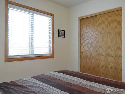 308 Slate Ct, Windsor, CO 80550 photo 21