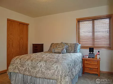 308 Slate Ct, Windsor, CO 80550 photo 16