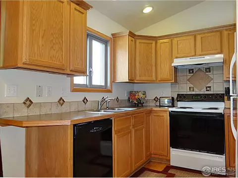 308 Slate Ct, Windsor, CO 80550 photo 13