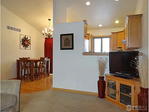 308 Slate Ct, Windsor, CO 80550 photo 9