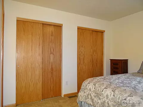 308 Slate Ct, Windsor, CO 80550 photo 17