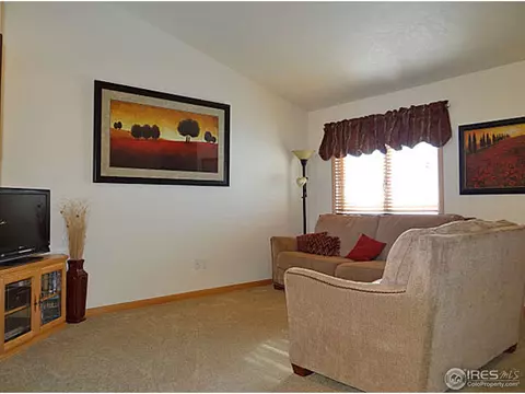 308 Slate Ct, Windsor, CO 80550 photo 5