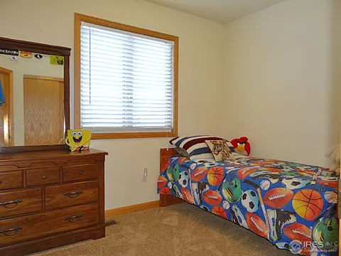 308 Slate Ct, Windsor, CO 80550 photo 19