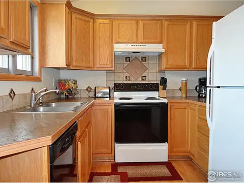 308 Slate Ct, Windsor, CO 80550 photo 12