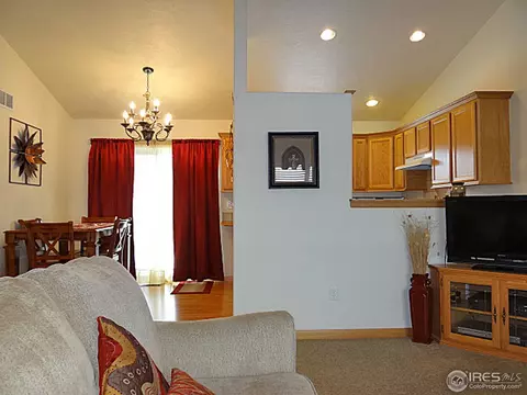 308 Slate Ct, Windsor, CO 80550 photo 8