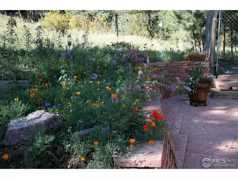 73 Moose Rd, Lyons, CO 80540 photo 22