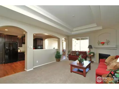 6320 Huntly Rd, Timnath, CO 80547 photo 5